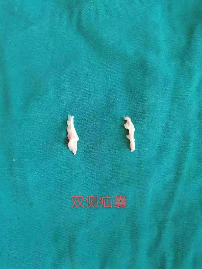 微信圖片_20210123093650.jpg