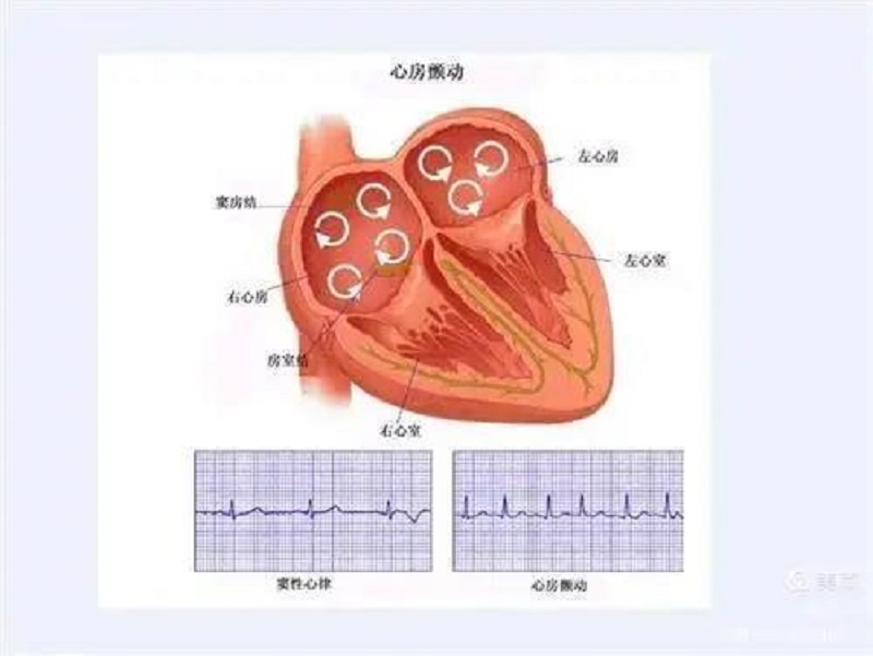 微信圖片_20210607083757.jpg