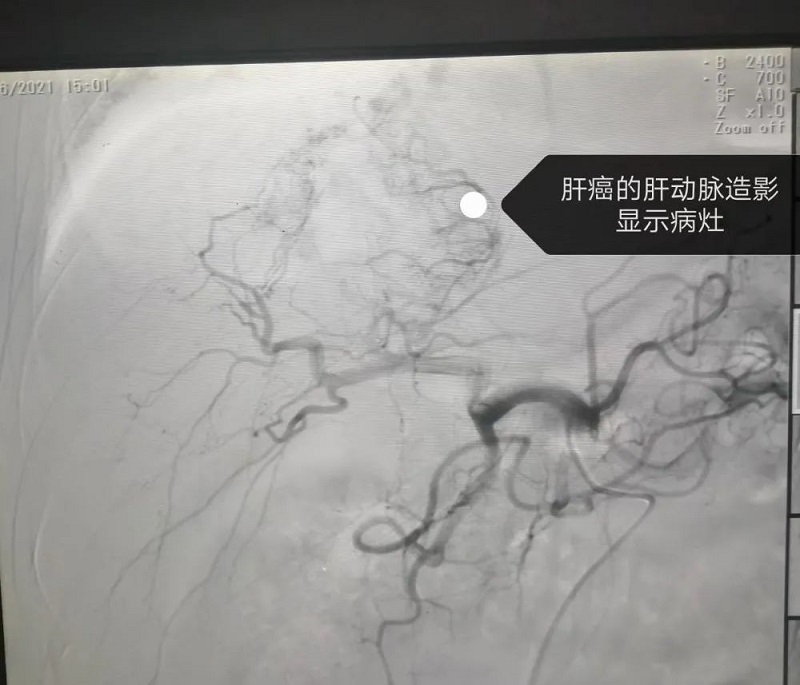 微信圖片_20210610090023.jpg