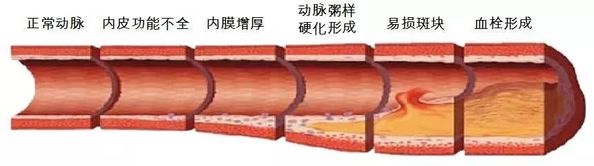 微信圖片_20210630082836.jpg