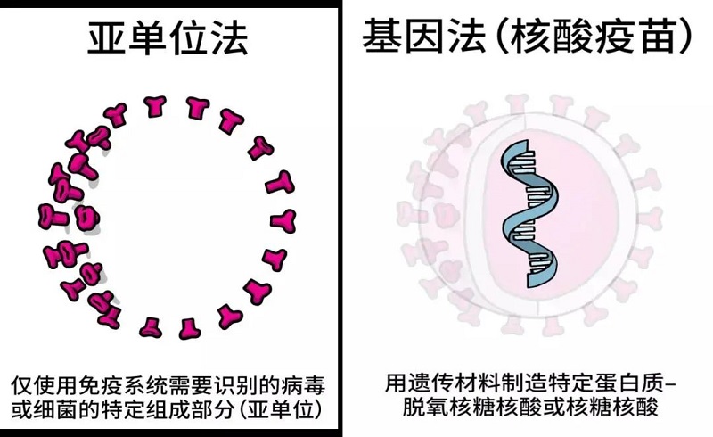 微信圖片_20210826083323.jpg