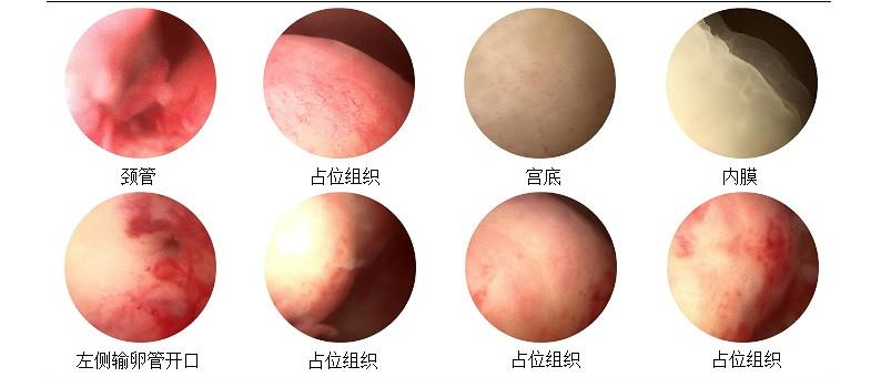 圖片1.png